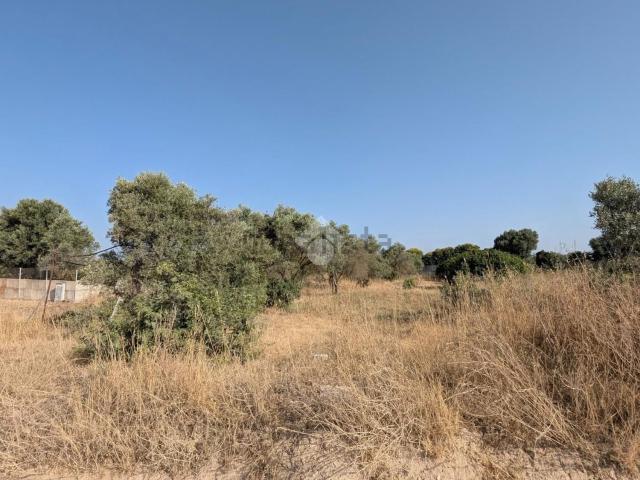 Terreno in vendita a Selargius, Sardigna/Sardegna