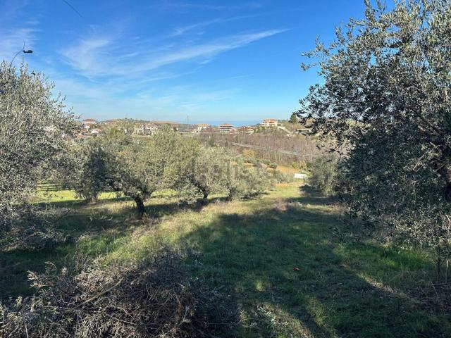 Terreno in vendita a Silvi, Abruzzo