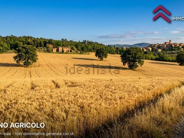 Terreno in vendita a Orte, Viterbo