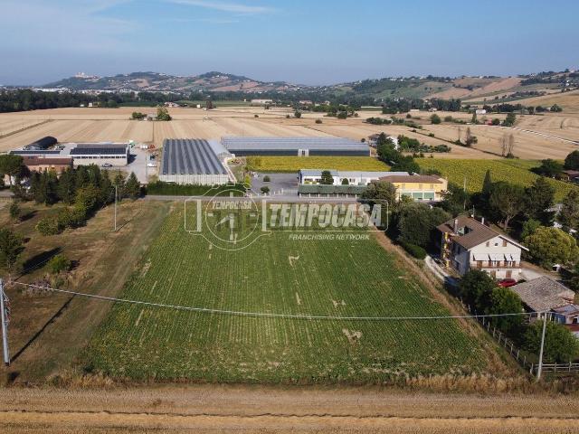 Terreno in vendita a Addolorata, Marche