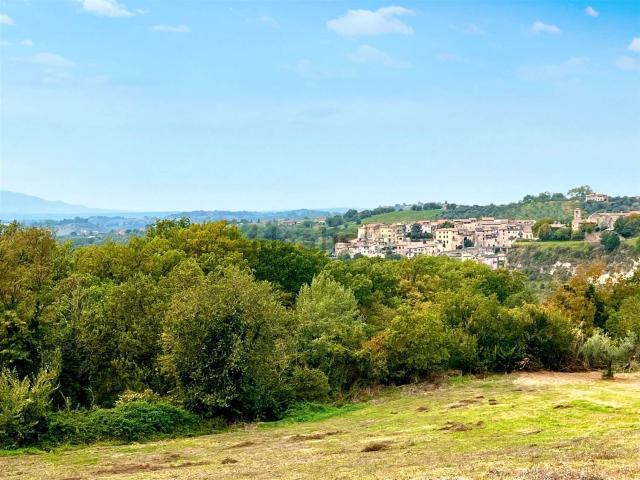Terreno in vendita a San Giorgio, Tarano