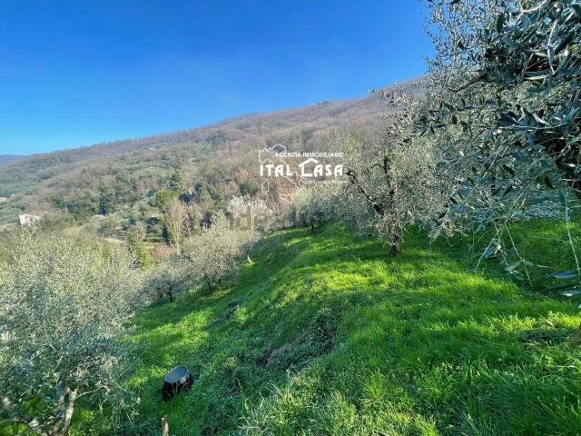 Terreno in vendita a Monsummano Terme, Grotta Parlanti