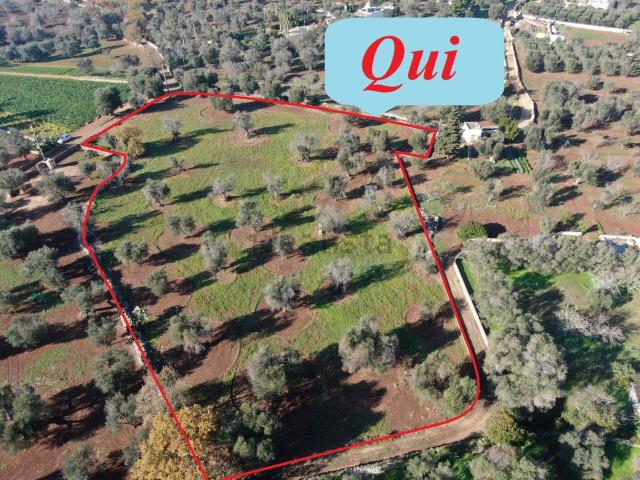 Terreno in vendita a Puglia, Brindisi