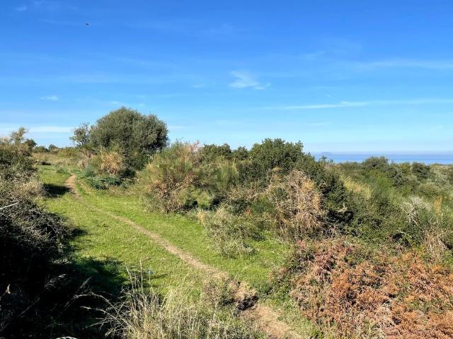 Terreno in vendita a Rometta, Sicilia
