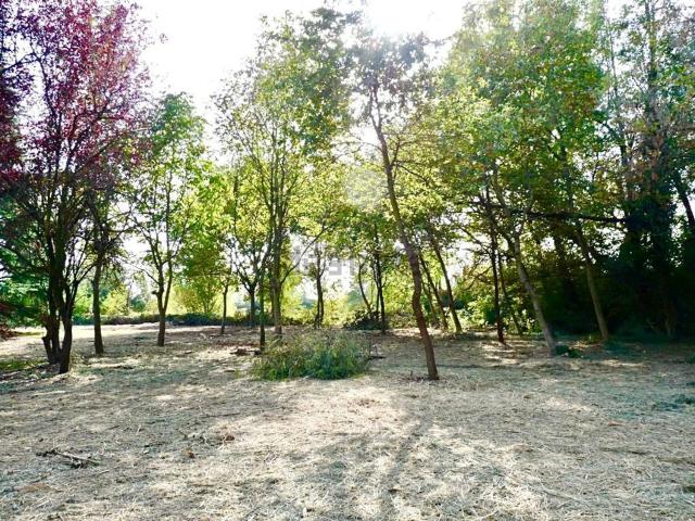 Terreno in vendita a Santa Rita, Novara