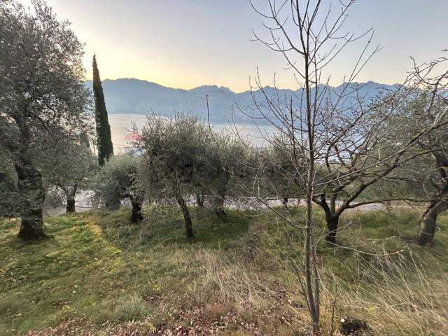 Terreno in vendita a Malcesine, Veneto