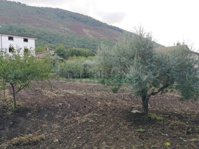 Terreno in vendita a Sant'agata De' Goti, Campania