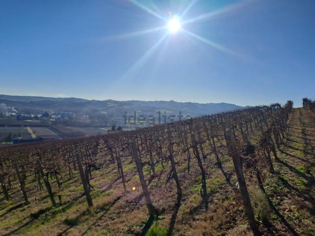 Terreno in vendita a Piemonte, Asti