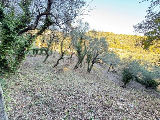Terreno in vendita a Imperia, Liguria