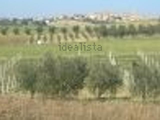 Terreno in vendita a Piantata del Ponte, Marche