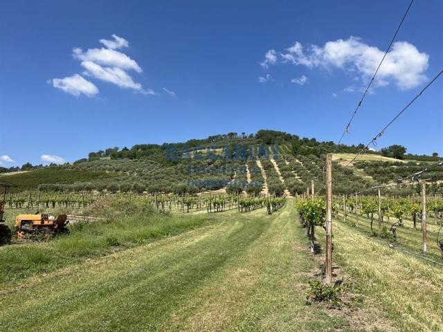 Terreno in vendita a Unione della Romagna Faentina, Brisighella