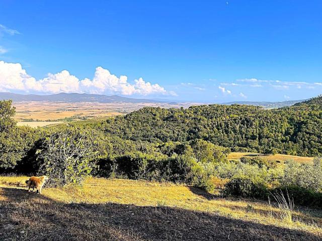 Terreno in vendita a La Malavolta, Rosignano Marittimo