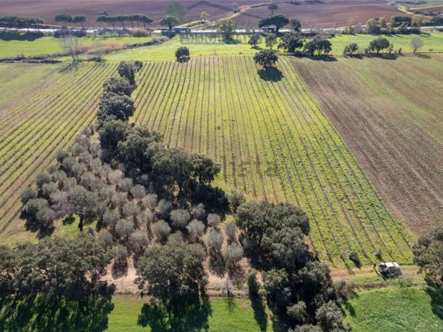 Terreno in vendita a centro G, Capalbio