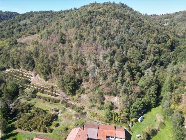 Terreno in vendita a Piemonte, Cuneo
