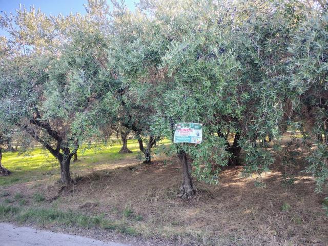 Terreno in vendita a Lanciano, Abruzzo