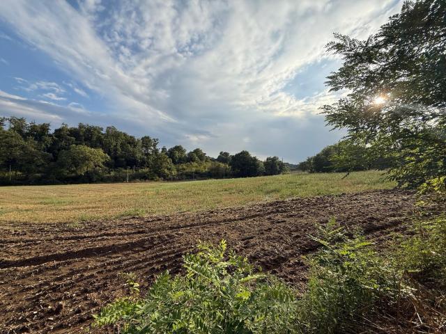 Terreno in vendita a Viterbo, Lazio