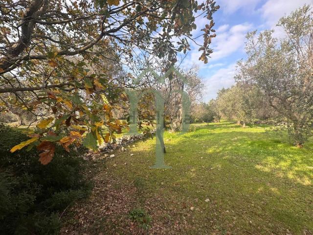 Terreno in vendita a Puglia, Brindisi