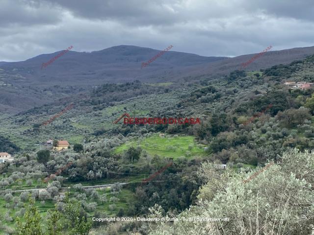 Terreno in vendita a Militello Rosmarino, Sicilia