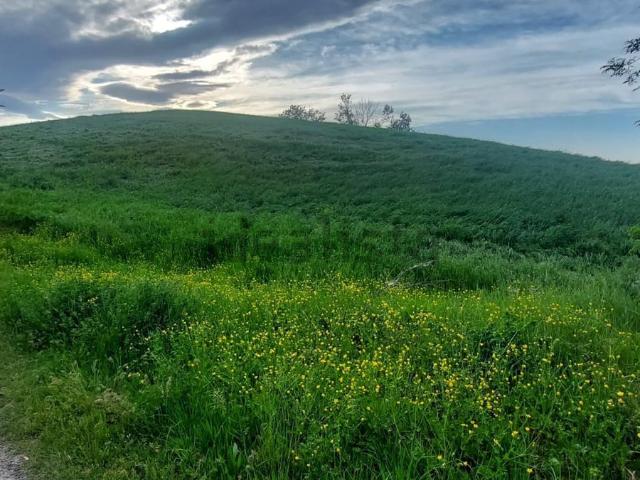 Terreno in vendita a Unione dei comuni del Distretto Ceramico, Fiorano Modenese