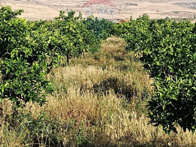 Terreno in vendita a Piazza, Sicilia