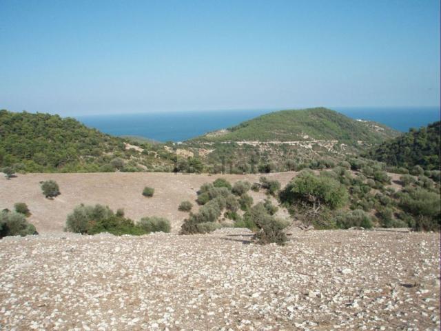 Terreno in vendita a Puglia, Foggia