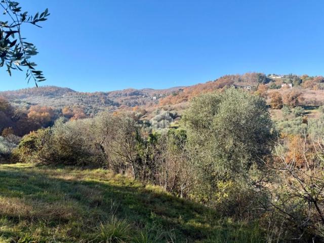 Terreno in vendita a Soriano Nel Cimino, Lazio
