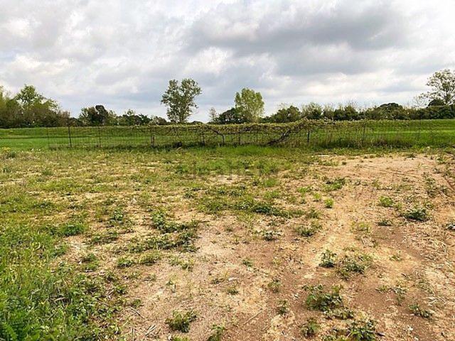 Terreno in vendita a Pavia Di Udine, Friuli-Venezia Giulia