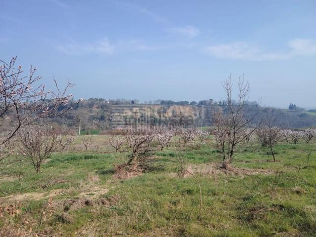 Terreno in vendita a Nuovo Circondario Imolese, Imola