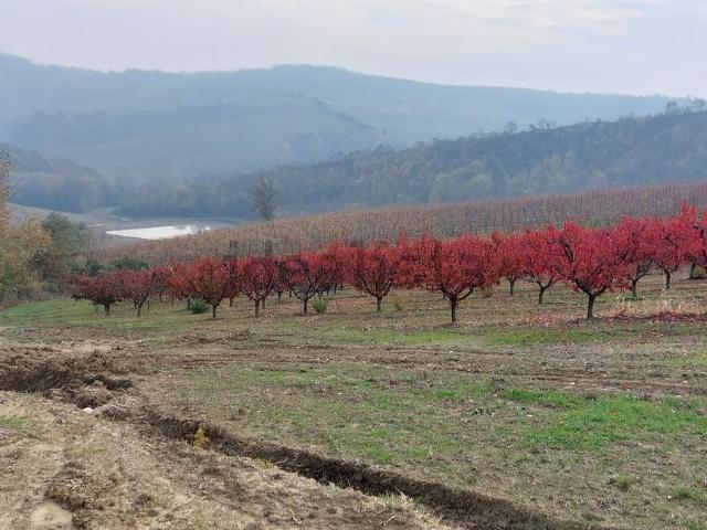 Terreno in vendita a Unione della Romagna Faentina, Riolo Terme