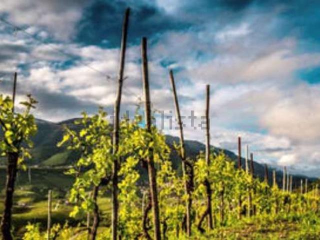 Terreno in vendita a Treviso, Veneto