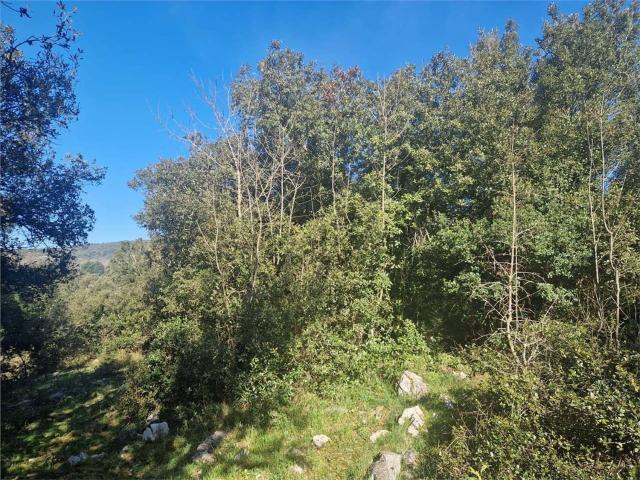 Terreno in vendita a Amaseno, Lazio