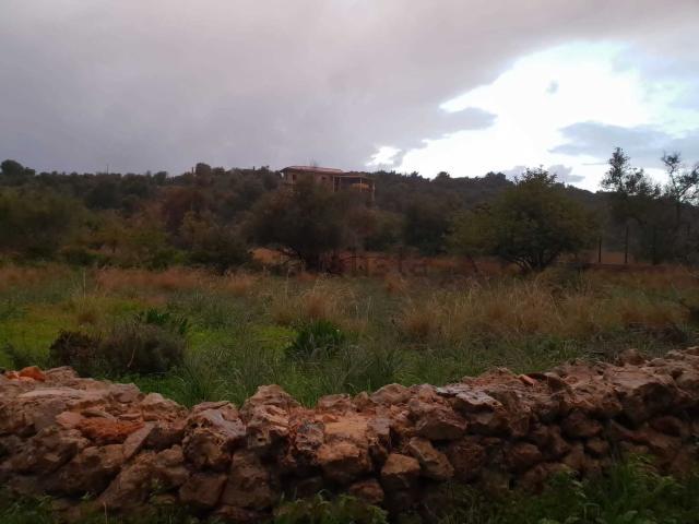 Terreno in vendita a Siracusa, Sicilia