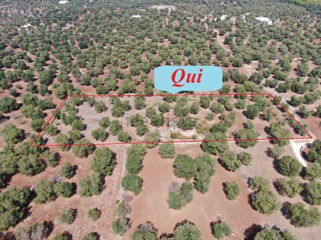Terreno in vendita a Puglia, Brindisi