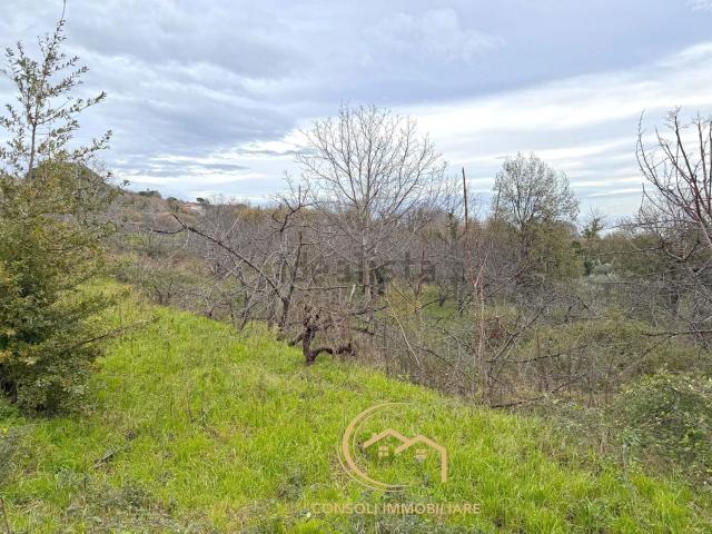 Terreno in vendita a Monacella, Santa Venerina