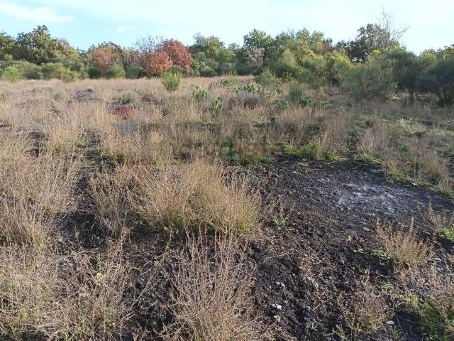 Terreno in vendita a Ballo, Zafferana Etnea