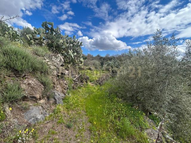 Terreno in vendita a Villaggio Sant'Antonio, Camporotondo Etneo