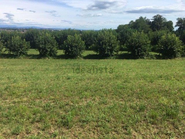 Terreno in vendita a Moruzzo, Friuli-Venezia Giulia