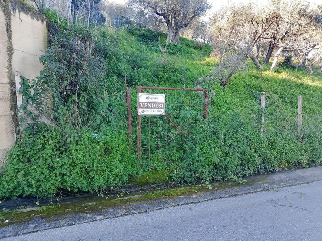 Terreno in vendita a Sant'agata Di Militello, Sicilia