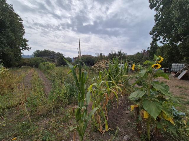 Terreno in vendita a Forino, Campania