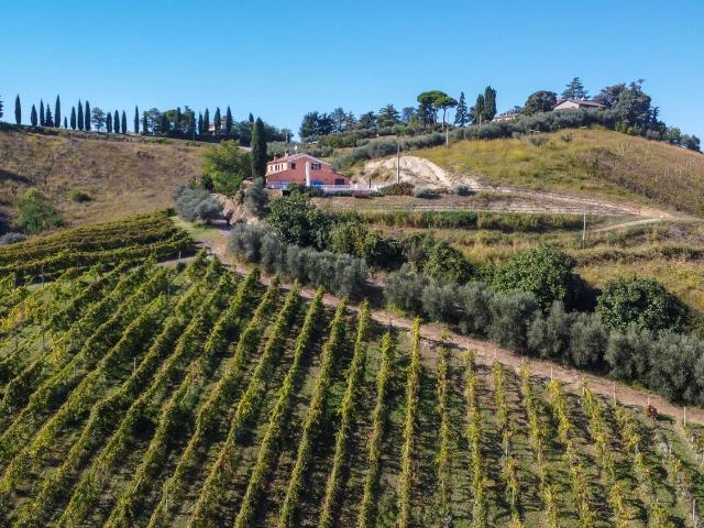 Terreno in vendita a Unione dei comuni Valle del Savio, Cesenà