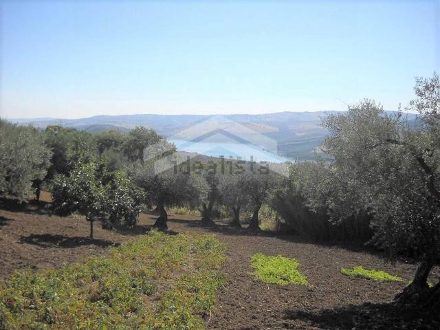 Terreno in vendita a Guardialfiera, Molise