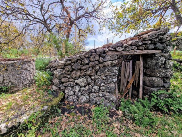 Terreno in vendita a Piedimonte Etneo, Sicilia