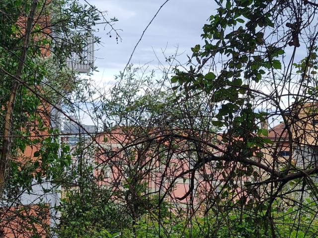 Terreno in vendita a Lerici, Liguria