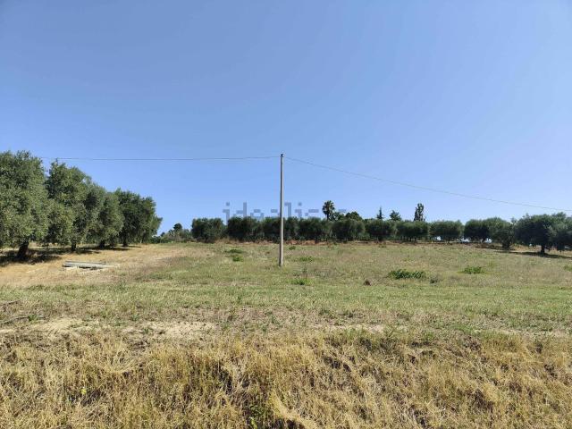 Terreno in vendita a Marche, Ascoli Piceno