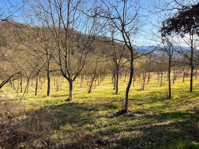 Terreno in vendita a Alvito, Lazio