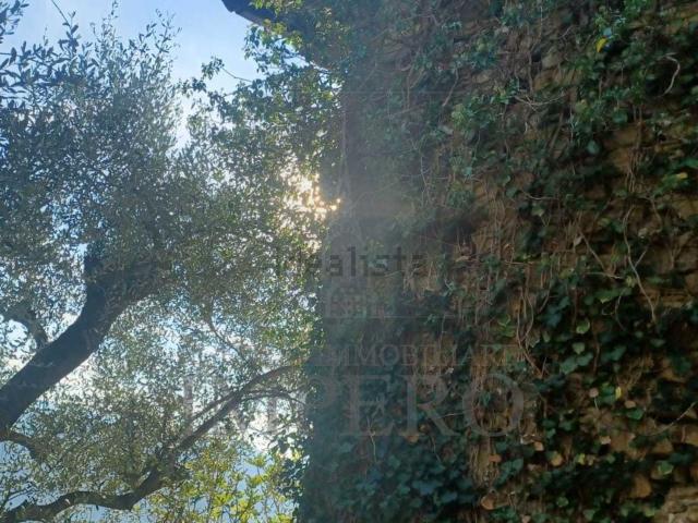 Terreno in vendita a Dolceacqua, Liguria