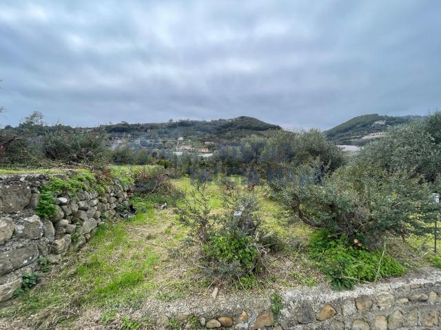 Terreno in vendita a Taggia, Arma Di Taggia