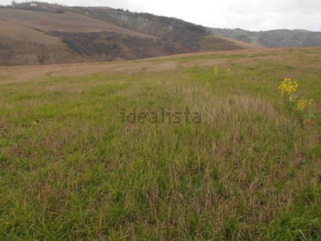 Terreno in vendita a Borgo Massano, Montecalvo in Foglia