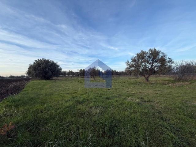 Terreno in vendita a Spoltore, Lanciano