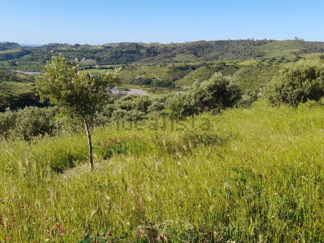 Terreno in vendita a Calabria, Reggio Calabria
